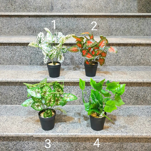 Flower pots